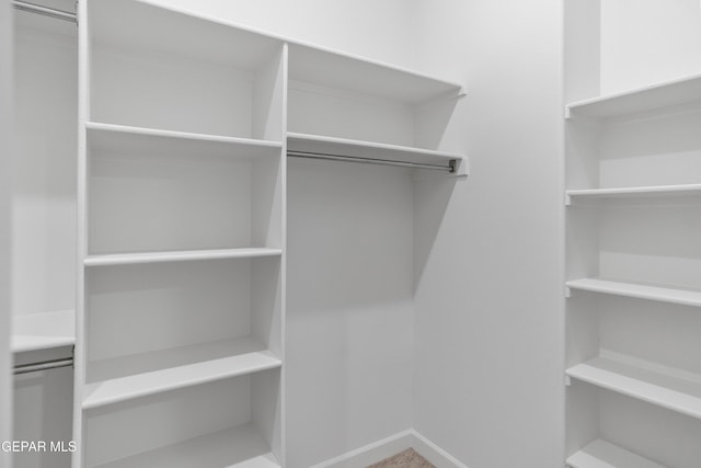 view of spacious closet