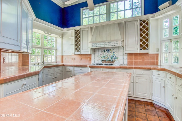 6041 Torrey Pines Dr, El Paso, TX 79912 - kitchen with a wealth of natural light, a high ceiling, premium range hood, and a sink