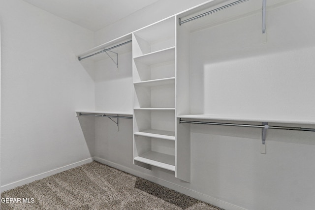 1725 Eased St, El Paso, TX 79928 - walk in closet featuring carpet flooring