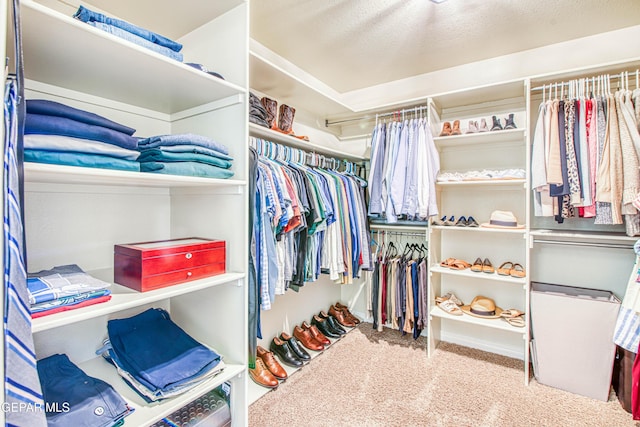 walk in closet featuring carpet floors