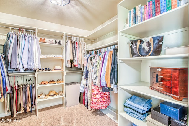 spacious closet with carpet