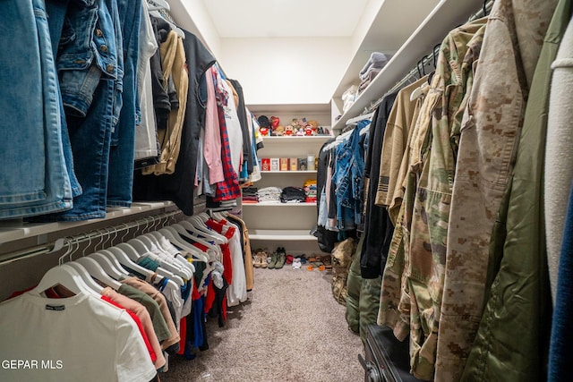 12244 Desert Snow Ct, El Paso, TX 79938 - spacious closet featuring carpet flooring