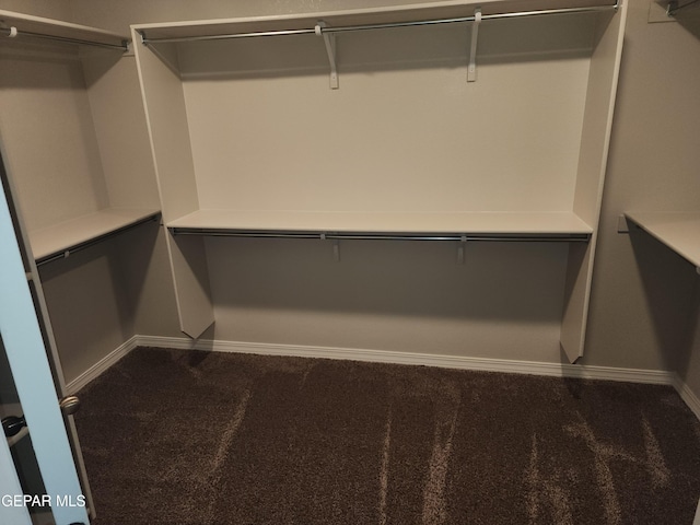 walk in closet with dark carpet