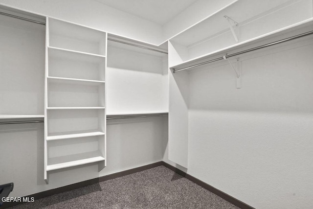 walk in closet with dark colored carpet
