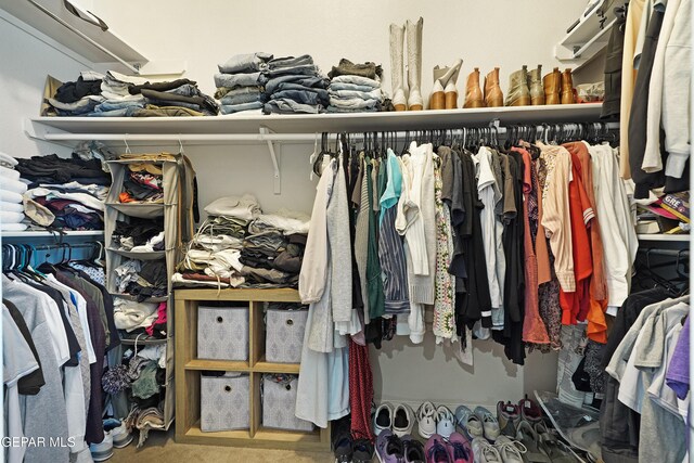 view of spacious closet