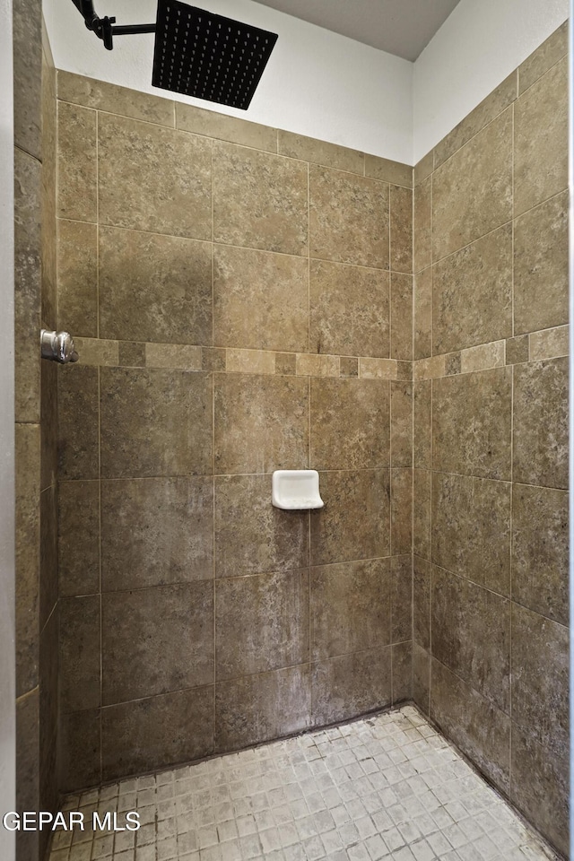 full bath featuring a tile shower