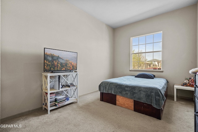 bedroom with carpet floors