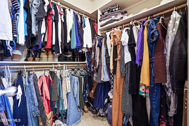 view of walk in closet