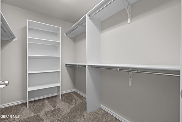 7337 Autumn Sage Dr, El Paso, TX 79911 - spacious closet with dark colored carpet