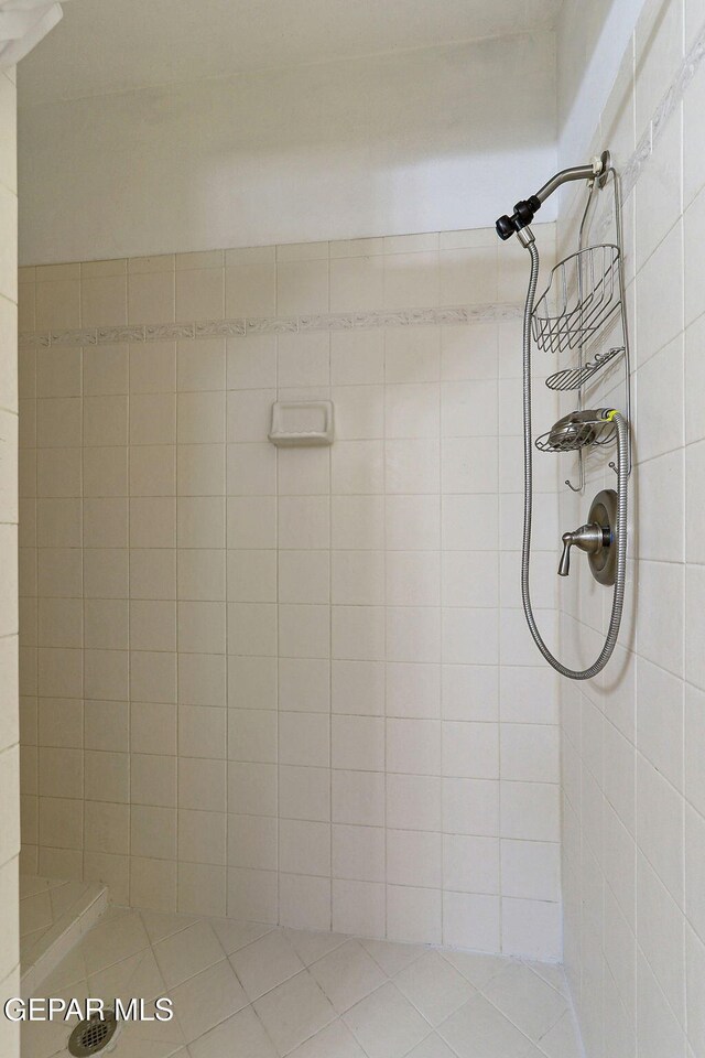 316 Garden Grove Ln, El Paso, TX 79912 - full bath with a tile shower