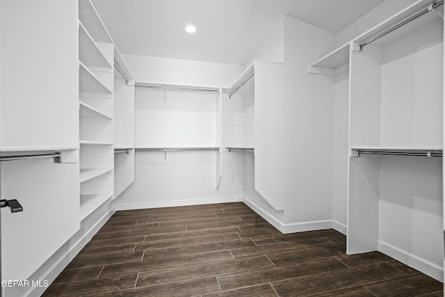 walk in closet with dark wood-style flooring