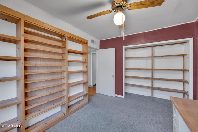 1003 Alethea Park Dr, El Paso, TX 79902 - storage area featuring a ceiling fan