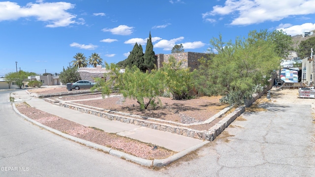 1003 Alethea Park Dr, El Paso, TX 79902 - exterior space