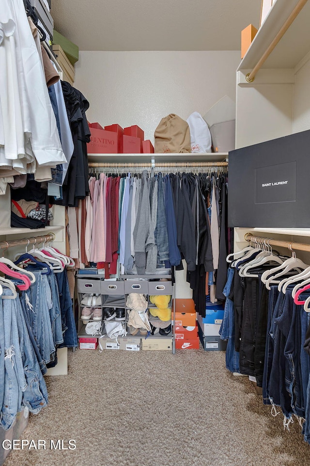 spacious closet featuring carpet floors