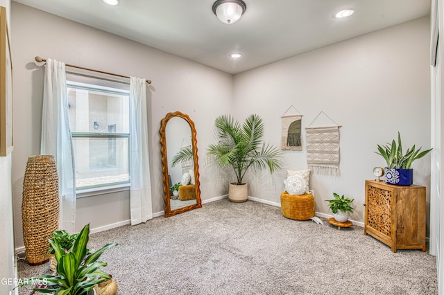 living area featuring baseboards, carpet flooring, and recessed lighting