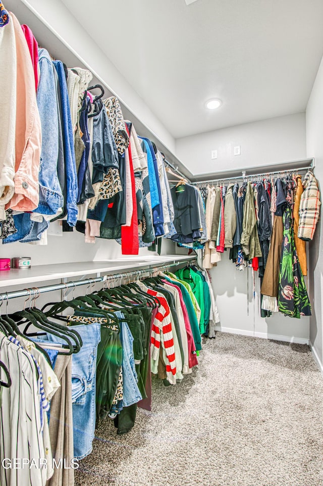 spacious closet featuring carpet flooring