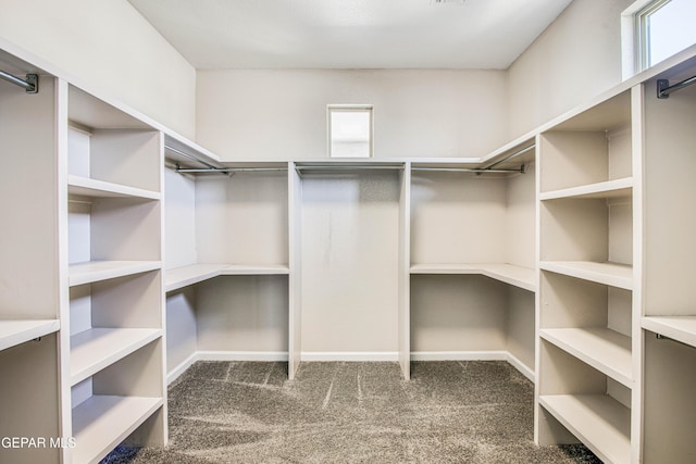 walk in closet with carpet