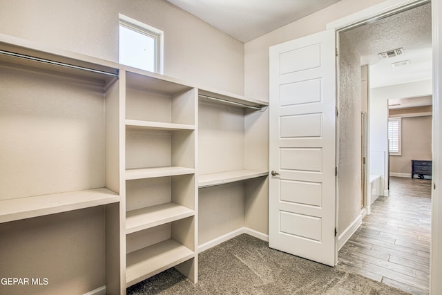 spacious closet with visible vents