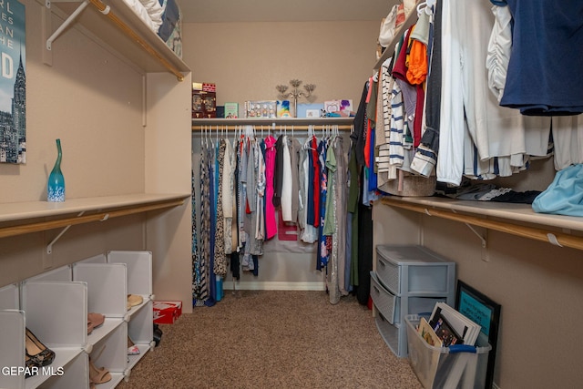 spacious closet with carpet