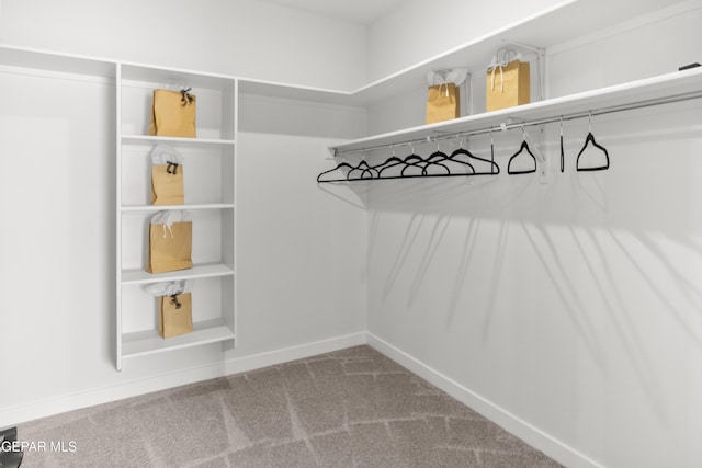 837 Durham Way, Horizon City, TX 79928 - walk in closet with carpet flooring