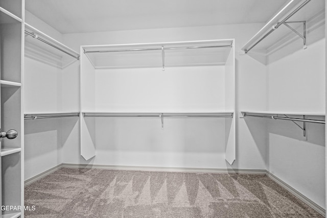spacious closet featuring carpet