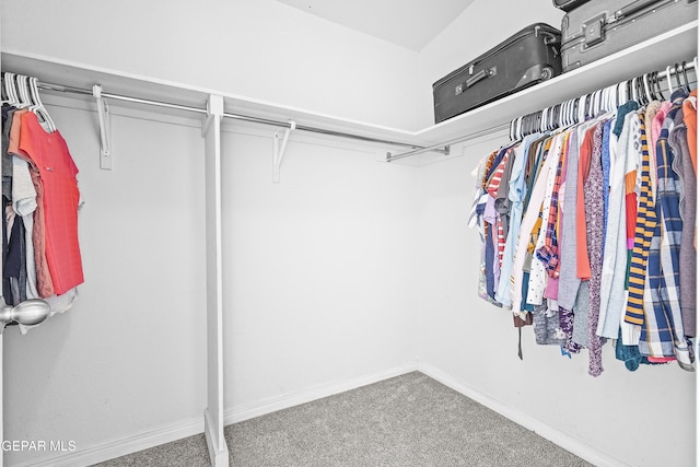 walk in closet featuring carpet