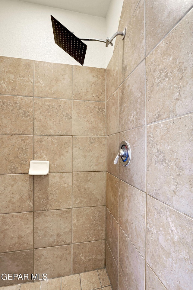 3929 Hueco Valley Dr, El Paso, TX 79938 - bathroom with a tile shower