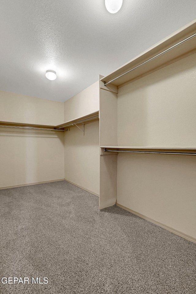 3929 Hueco Valley Dr, El Paso, TX 79938 - spacious closet with carpet