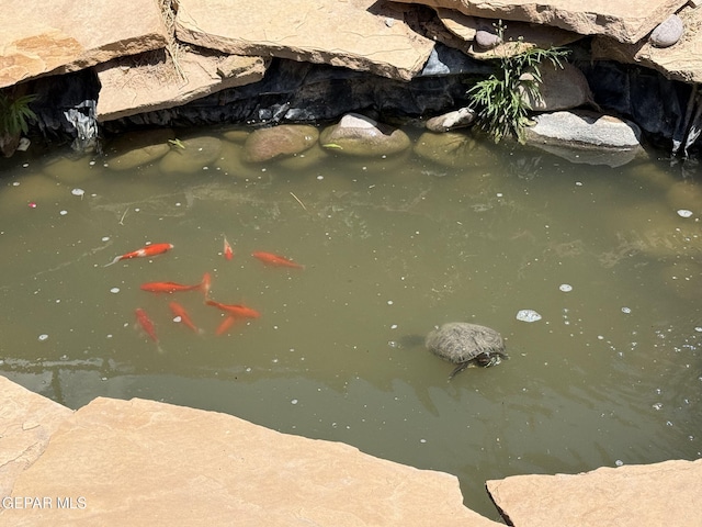 details featuring a small pond