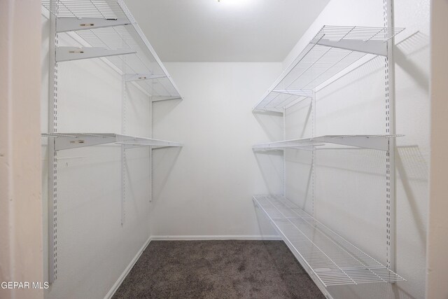 9232 Morelia Rd, El Paso, TX 79907 - walk in closet with carpet