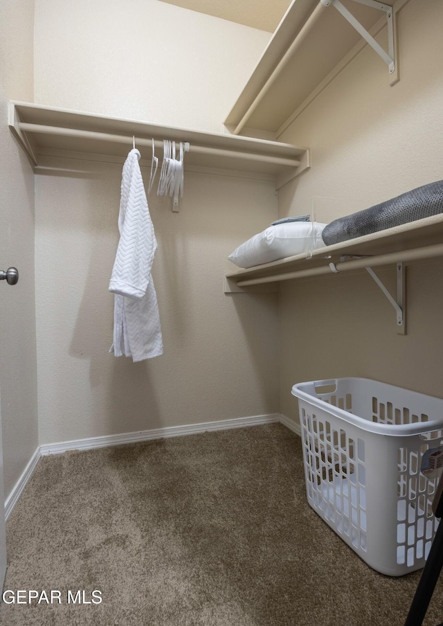 walk in closet featuring carpet