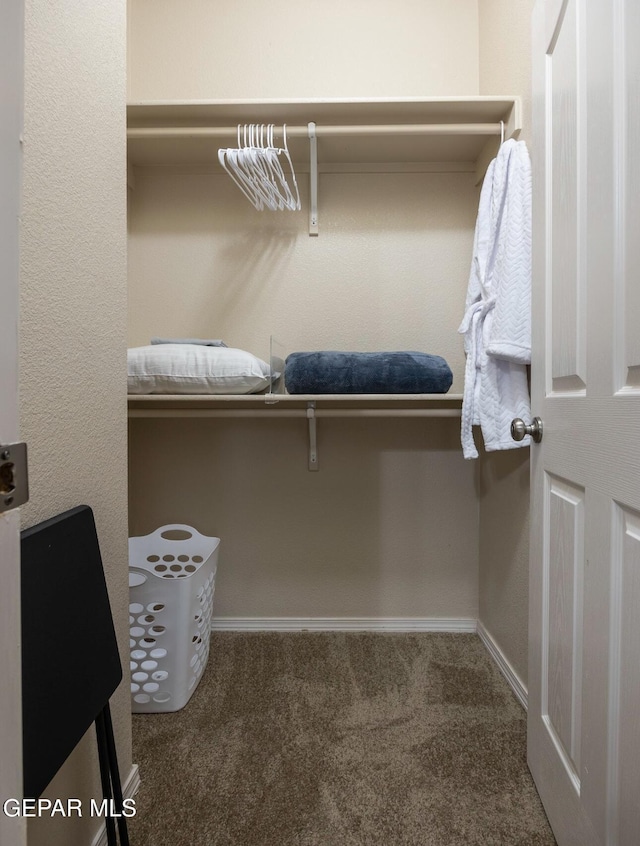spacious closet with carpet floors