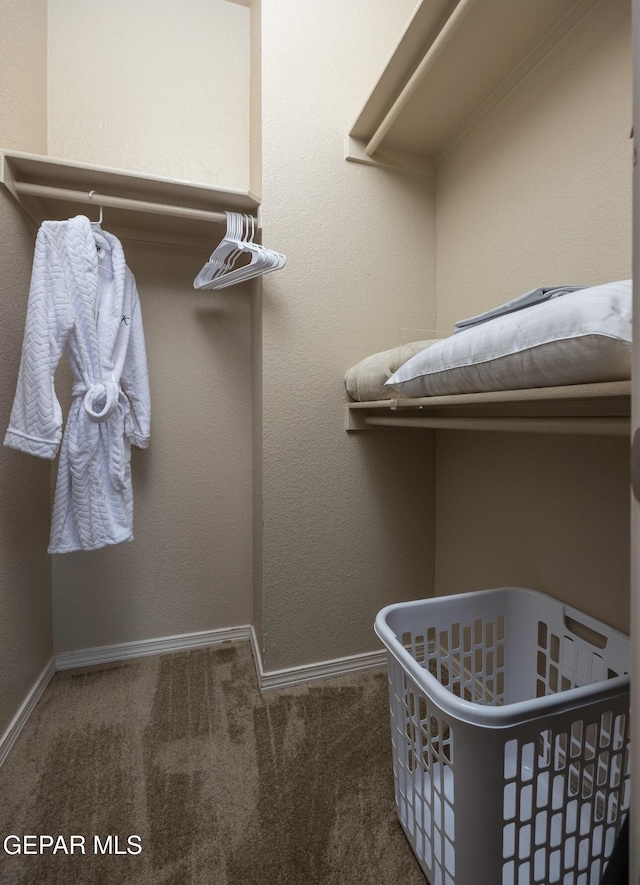 spacious closet with carpet floors