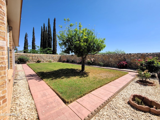 10812 Sandy Koufax Dr, El Paso, TX 79924 - view of yard with a fenced backyard