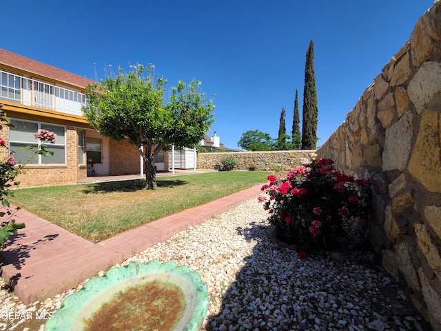 10812 Sandy Koufax Dr, El Paso, TX 79924 - view of yard featuring a fenced backyard