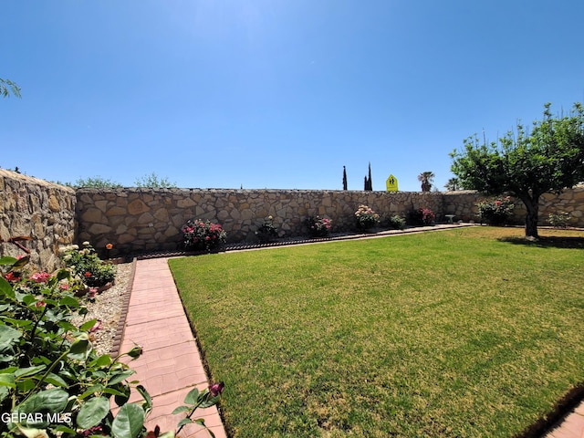 10812 Sandy Koufax Dr, El Paso, TX 79924 - view of yard featuring a fenced backyard