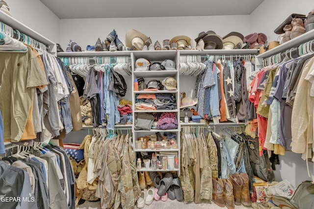 view of walk in closet