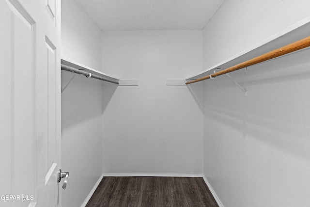 walk in closet with wood finished floors