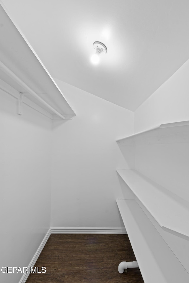 spacious closet featuring wood finished floors
