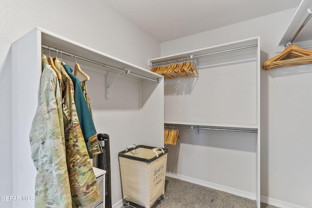 spacious closet featuring carpet