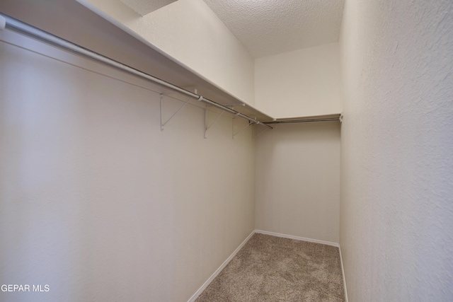 spacious closet featuring carpet