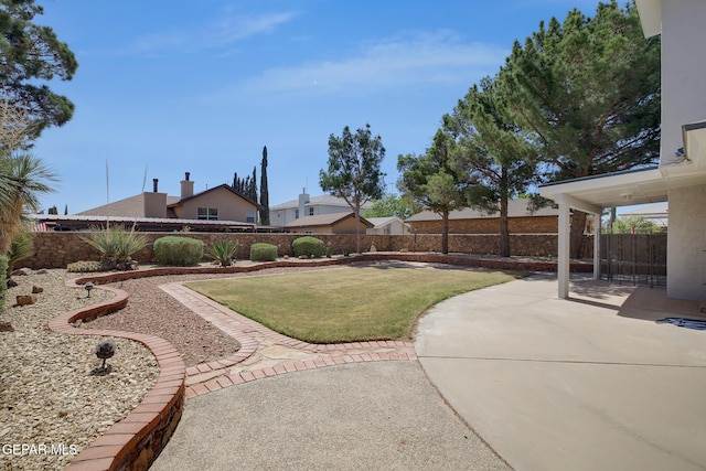 view of yard featuring a fenced backyard and a patio area
