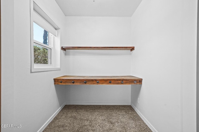 spacious closet with carpet
