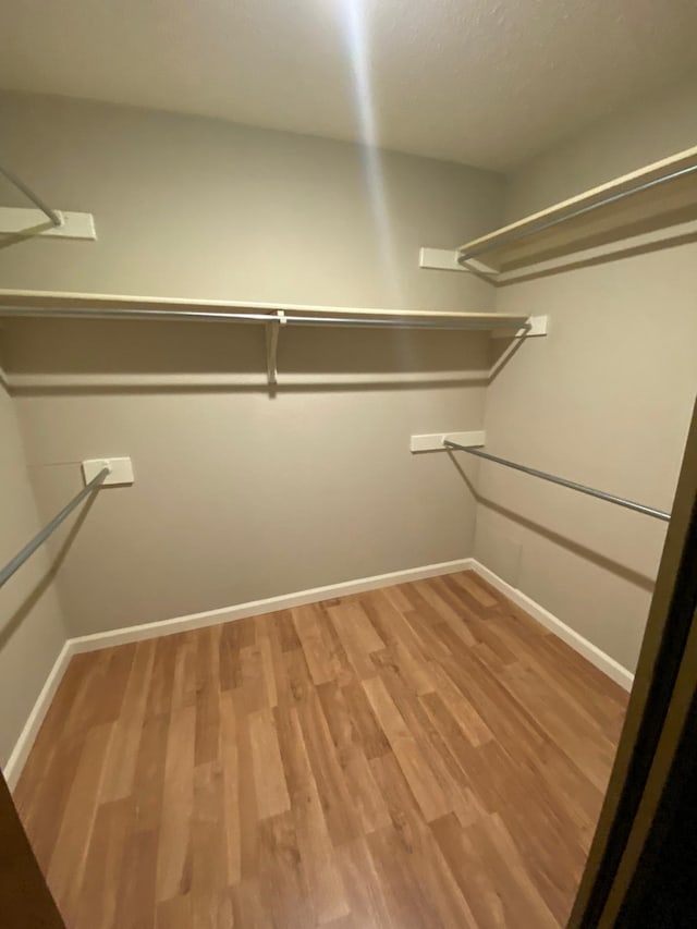 walk in closet featuring light wood-style floors