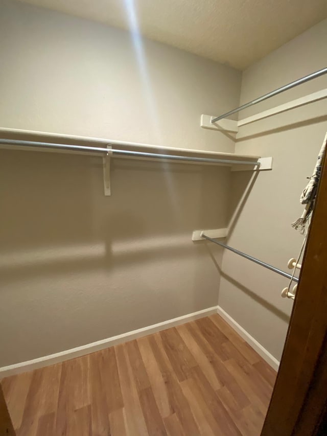 walk in closet featuring wood finished floors