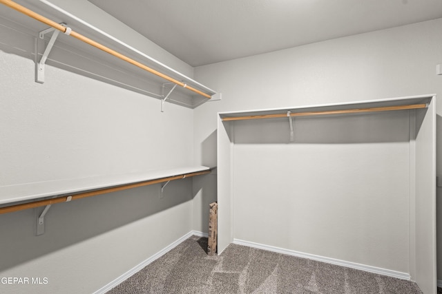spacious closet featuring carpet floors