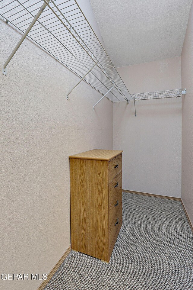 walk in closet featuring carpet floors