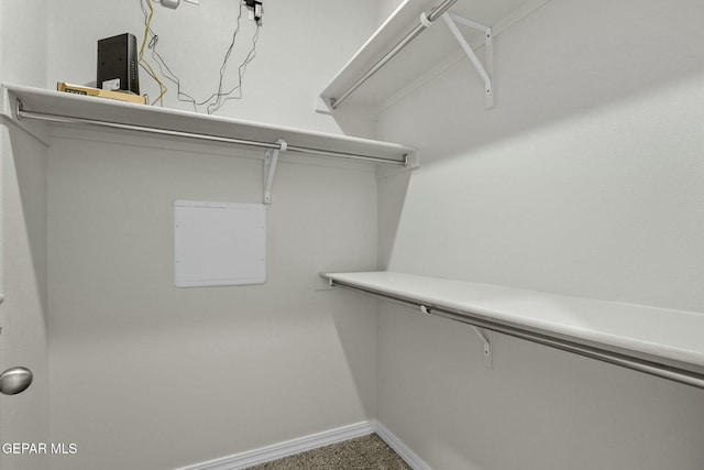 spacious closet featuring carpet flooring