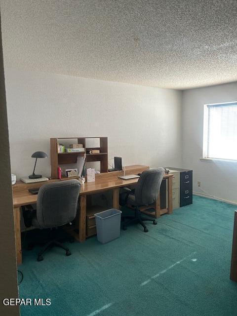 carpeted office space with a textured ceiling