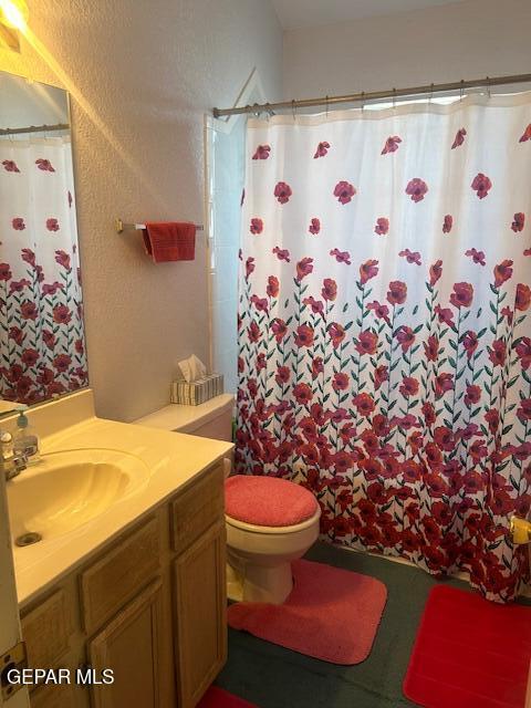 full bathroom featuring vanity, toilet, and a shower with shower curtain